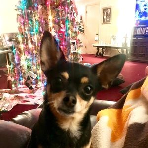 Meet your Posher, Shanda